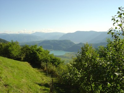 Holiday apartment Weinberg im Lindenhof - Environment photo 22