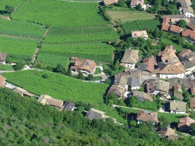 Holiday apartment Obstgarten im Lindenhof in Kurtatsch - Holiday apartment