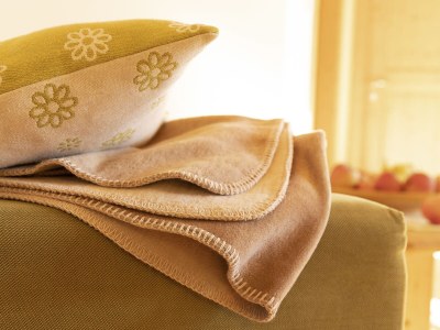 Holiday apartment Obstgarten im Lindenhof - Features photo 16