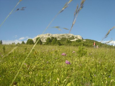 Holiday apartment Obstgarten im Lindenhof - Environment photo 21