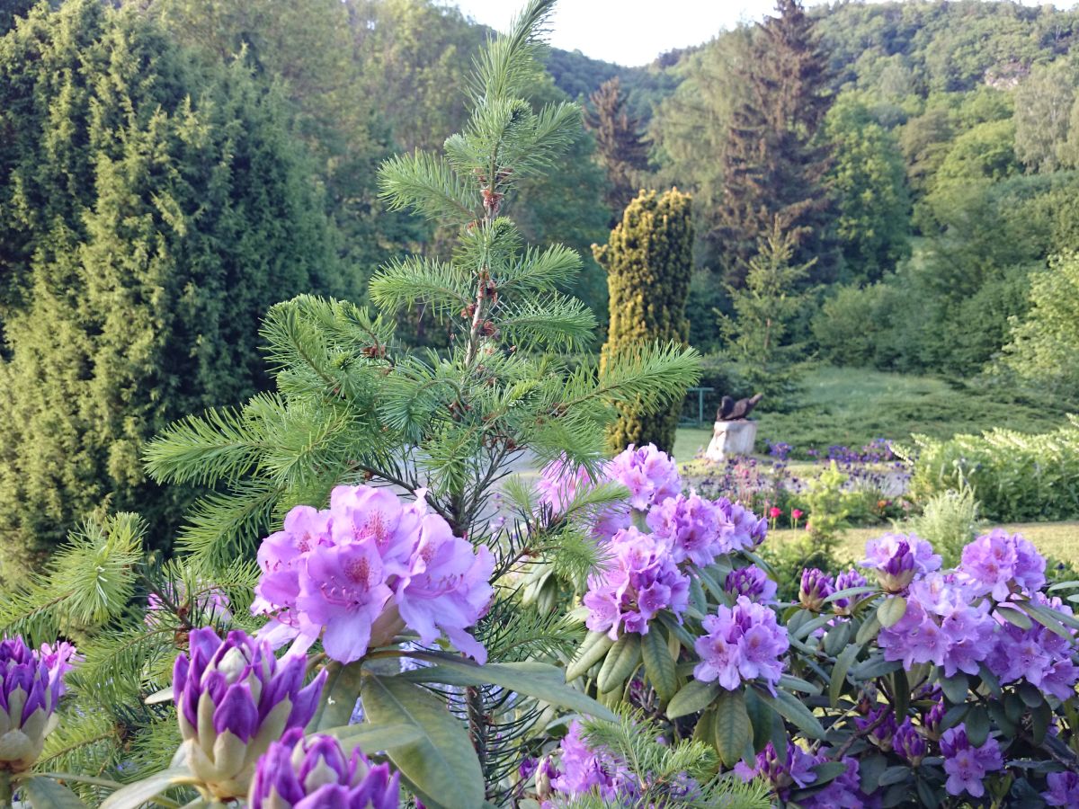 Holiday apartment Wilde 2 - Outdoor photo 5