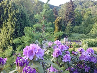 Holiday apartment Wilde 2 - Outdoor photo 5