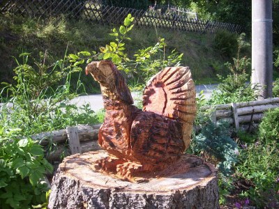 Holiday apartment Wilde 2 - Outdoor photo 15