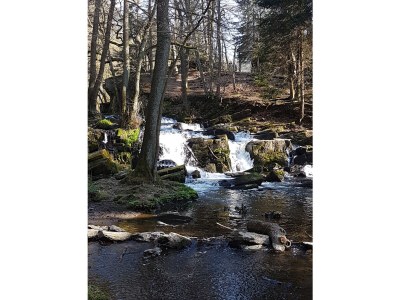 Holiday apartment Wilde 2 - Environment photo 28