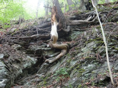 Holiday apartment Wilde 2 - Environment photo 34