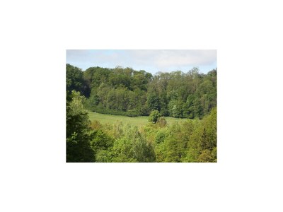 Holiday apartment Wilde 2 - Environment photo 35