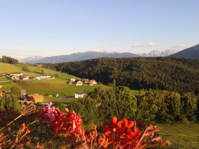 Holiday apartment On the Latschenhof farm 3 flowers - Outdoor photo 7