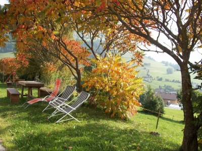 Holiday apartment On the Latschenhof farm 3 flowers - Outdoor photo 8