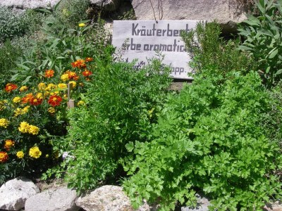 Holiday apartment On the Latschenhof farm 3 flowers - Environment photo 19