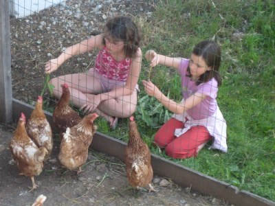 Holiday apartment On the Latschenhof farm 3 flowers - Environment photo 21