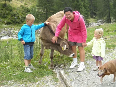 Holiday apartment On the Latschenhof farm 3 flowers - Environment photo 22