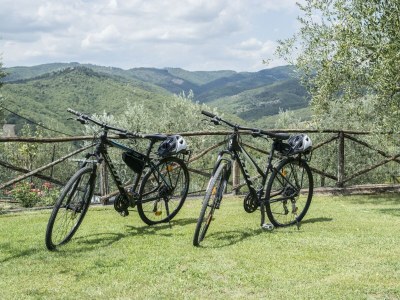 Apartment Nest in Chianti at Marioli - Outdoor photo 27