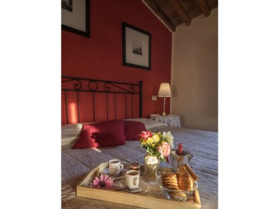 Apartment La Torre della Rocca in Chianti - Features photo 18