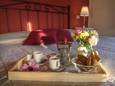 Apartment La Torre della Rocca in Chianti - Features photo 20