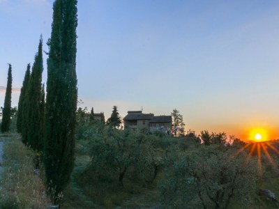 Chalet Il Villino della Rocca in Chianti - Environment photo 21
