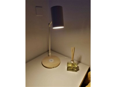 Apartment Close to Franklin College and Lugano Center - Features photo 13