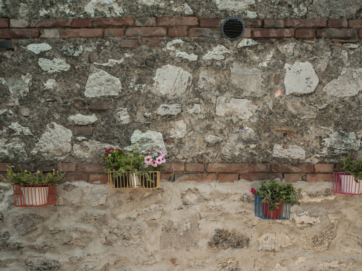 Apartment Ficonovo is Your Agritourism with Pool - Outdoor photo 3