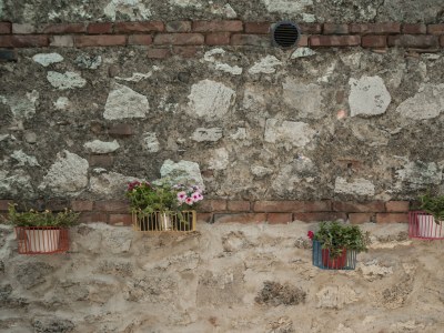 Apartment Ficonovo is Your Agritourism with Pool - Outdoor photo 3