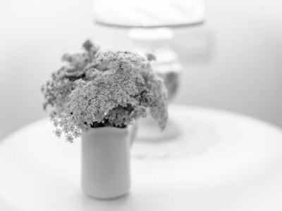 Apartment Ficonovo is Your Agritourism with Pool - Features photo 15