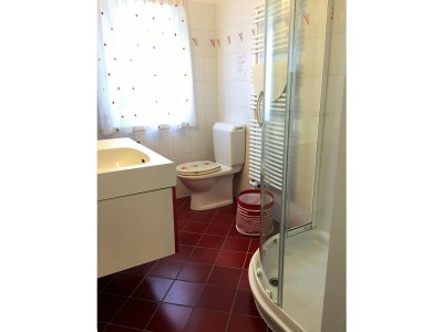 Chalet Direct on Lugano Lake: Take a Swim from your Villa - Features photo 23