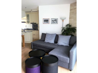 Chalet Direct on Lugano Lake: Take a Swim from your Villa - Features photo 24