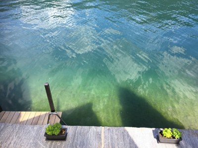 Chalet Direct on Lugano Lake: Take a Swim from your Villa - Environment photo 38