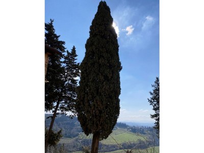 Apartment Luxury, Sustainability and Eco Pool in Frangi Apt. - Environment photo 42