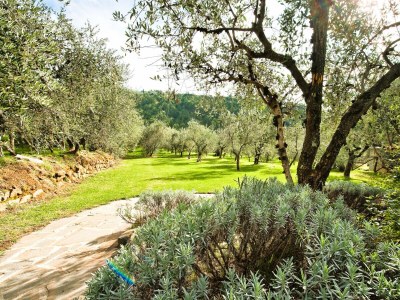 Villa Villa Nocciolo in most Exclusive Borgo in Tuscany - Environment photo 40