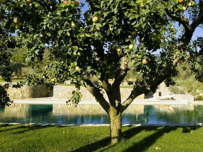 Villa Villa Leccino in most Exclusive Borgo in Tuscany - Environment photo 38