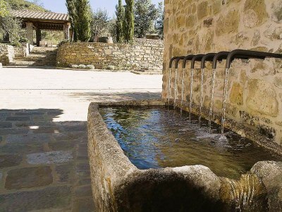 Villa Villa Olivo in most Exclusive Borgo in Tuscany - Features photo 40