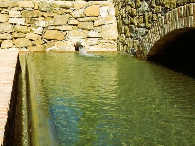 Villa Villa Noce in most Exclusive Borgo in Tuscany - Features photo 40