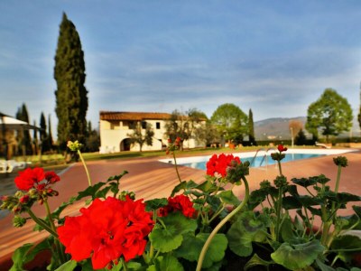 Apartment Fattoria del Chianti close to Florence for two - Outdoor photo 2