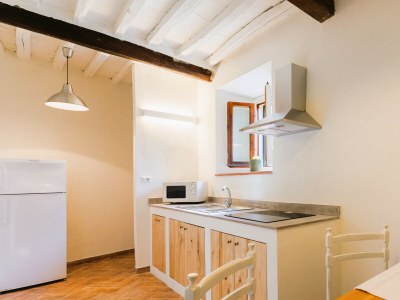 Apartment Fattoria del Chianti close to Florence for two - Features photo 19