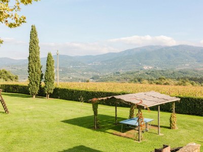Apartment Fattoria del Chianti close to Florence for two - Environment photo 37