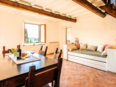 Apartment Fattoria del Chianti close to Florence for four - Features photo 18
