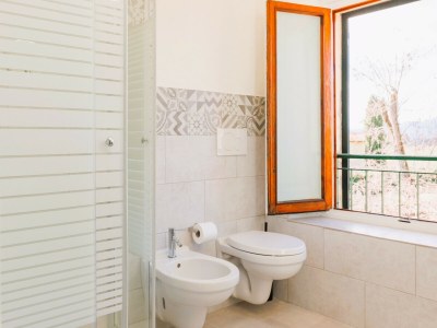 Apartment Fattoria del Chianti close to Florence for six - Features photo 16