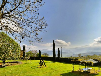 Apartment Fattoria del Chianti close to Florence for six - Environment photo 30