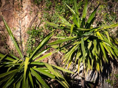 Holiday house Villa contemporary with a panoramic view of Mandelieu - Environment photo 44
