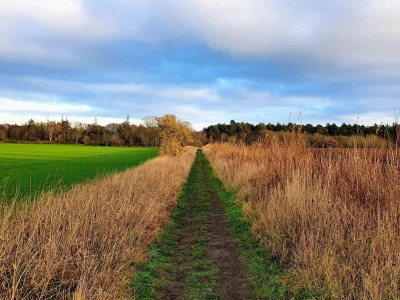 Holiday house 6 person holiday home in Grenaa - Outdoor photo 40