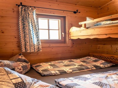 Holiday house Rustic Hut Salzburg near Ski Slopes - Features photo 12