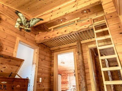 Holiday house Rustic Hut Salzburg near Ski Slopes - Features photo 13