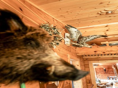 Holiday house Rustic Hut Salzburg near Ski Slopes - Features photo 14
