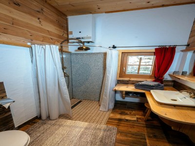 Holiday house Rustic Hut Salzburg near Ski Slopes - Features photo 17