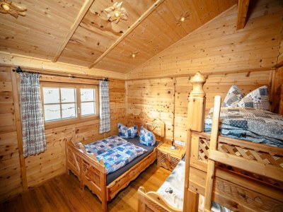 Holiday house Rustic Hut Salzburg near Ski Slopes - Features photo 22