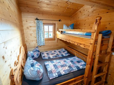 Holiday house Rustic Hut Salzburg near Ski Slopes - Features photo 23