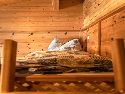 Holiday house Rustic Hut Salzburg near Ski Slopes - Features photo 26