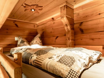 Holiday house Rustic Hut Salzburg near Ski Slopes - Features photo 28
