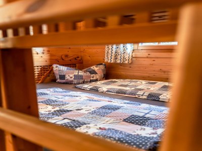 Holiday house Rustic Hut Salzburg near Ski Slopes - Features photo 32