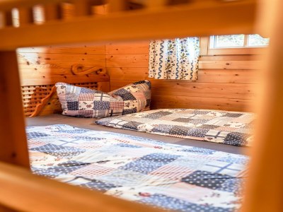 Holiday house Rustic Hut Salzburg near Ski Slopes - Features photo 34