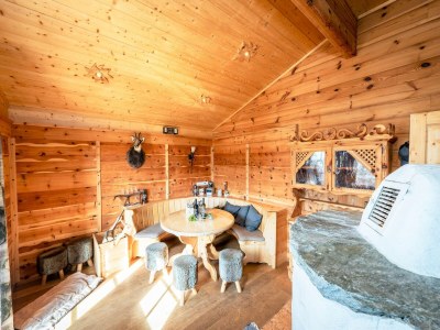 Holiday house Rustic Hut Salzburg near Ski Slopes - Features photo 35